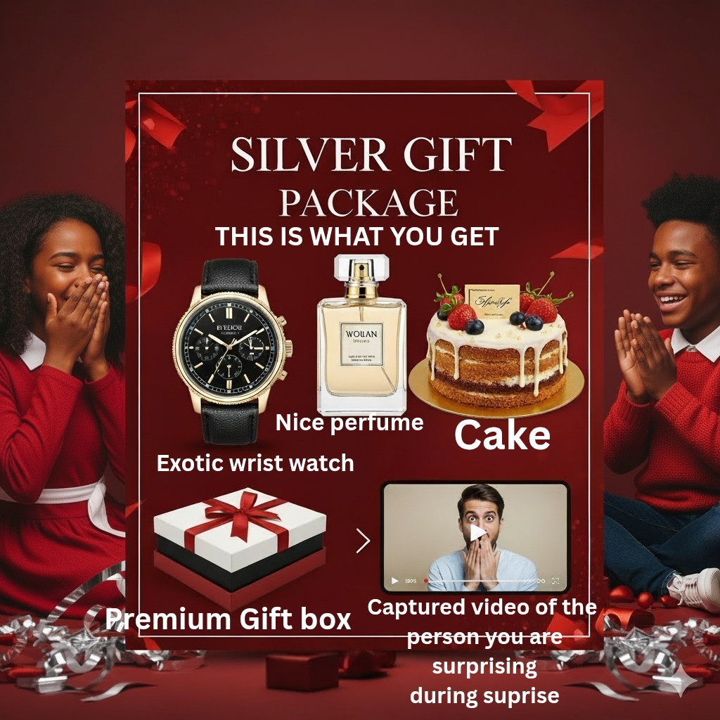 SILVER SURPRISE GIFT  PACKAGE